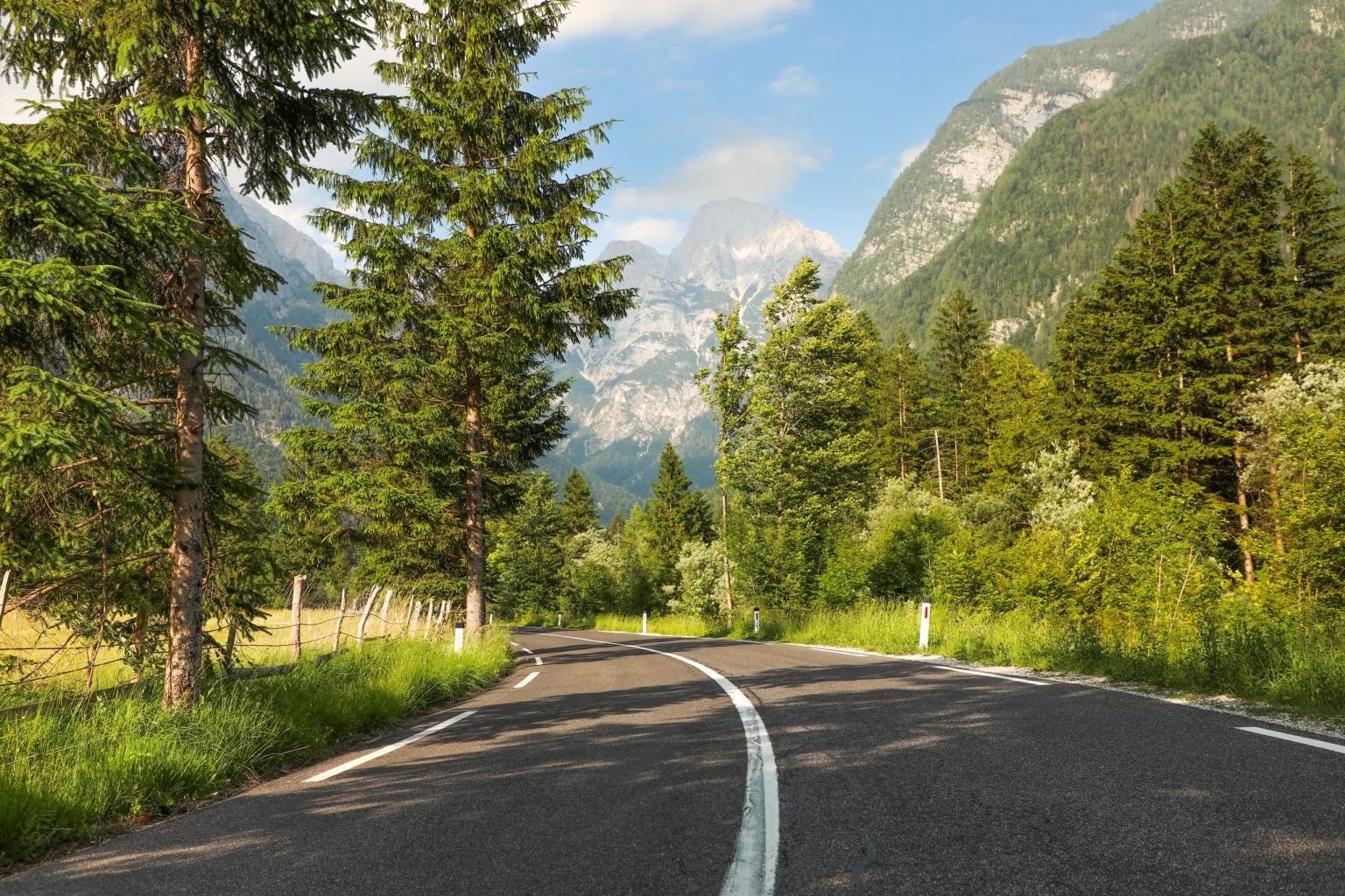 Forest road through a valley in the Julian Alps, Slovenia