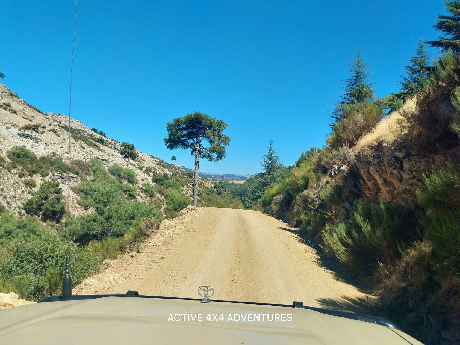 Gravel track through pine-covered hills in Andalucia