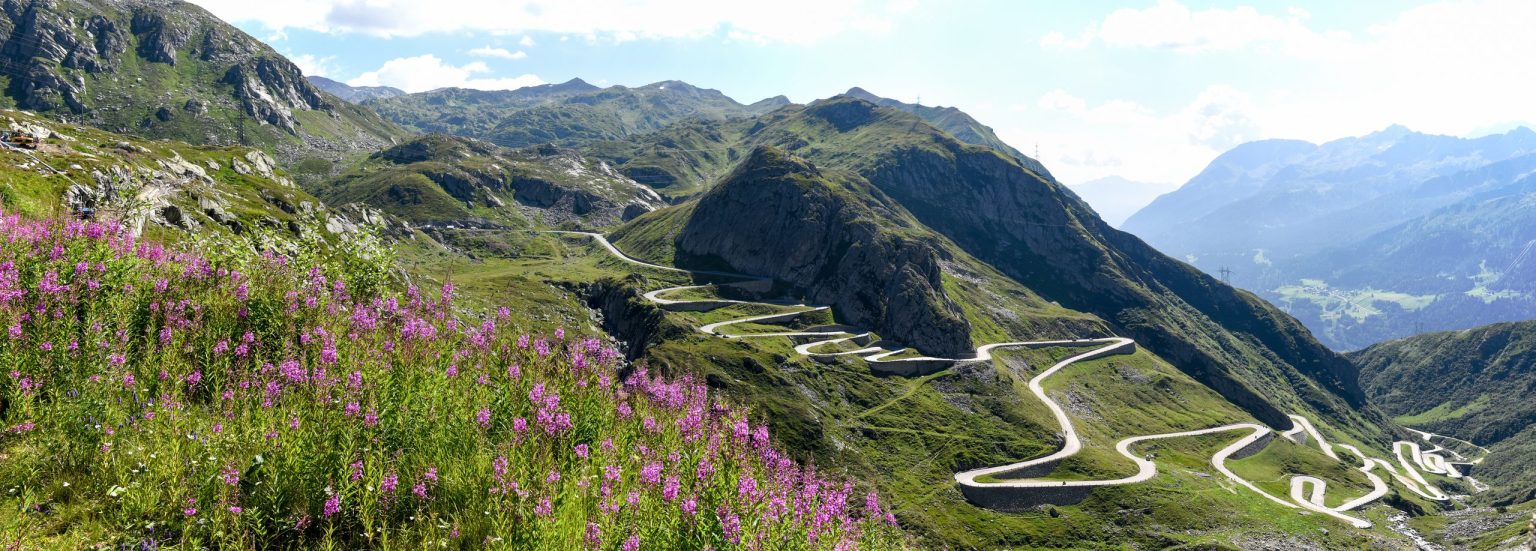 Tremola switchbacks on the Gotthard Pass above wildflowers