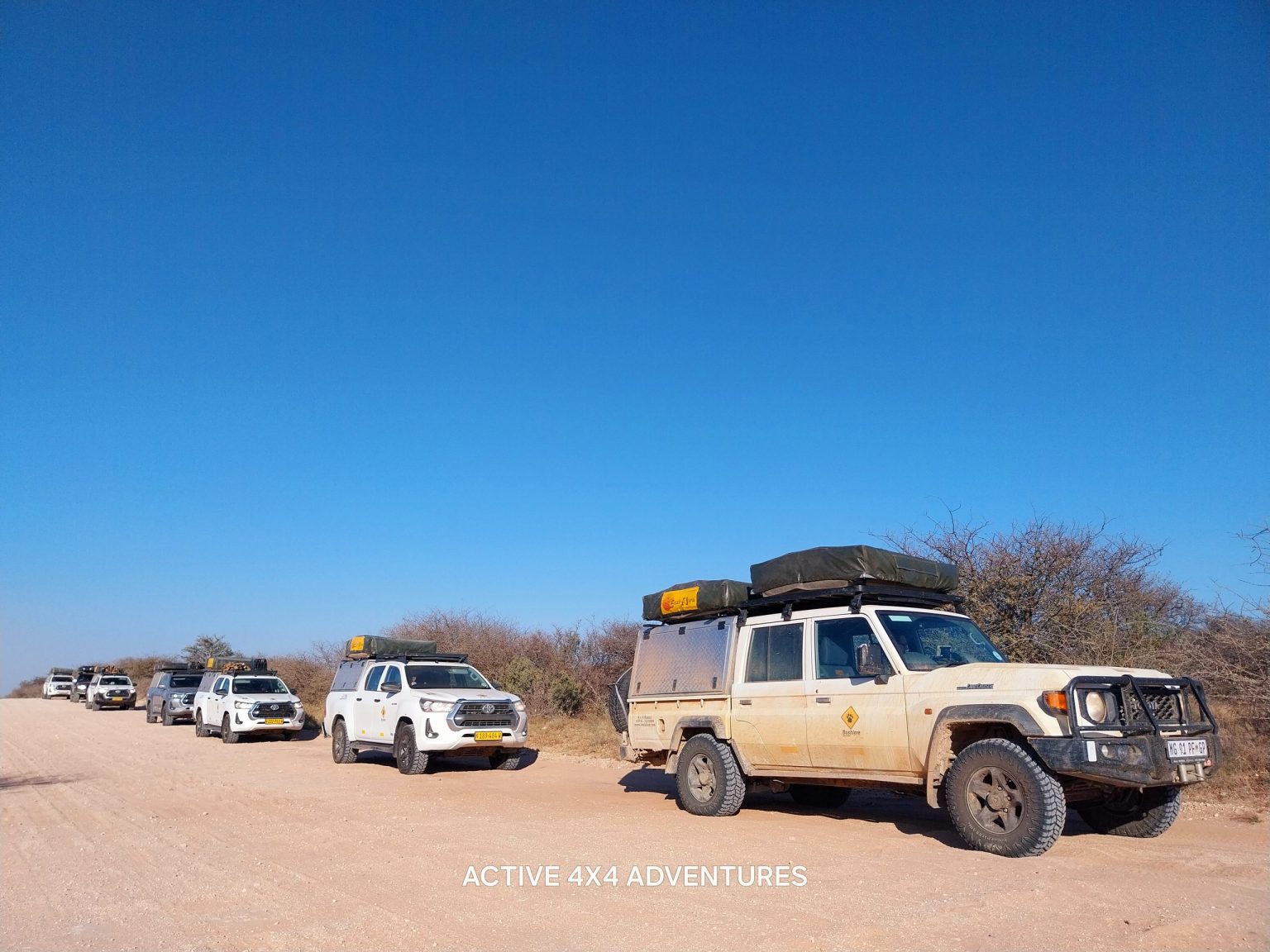 Convoy of 4x4 campers lined up on a bush track in Botswana