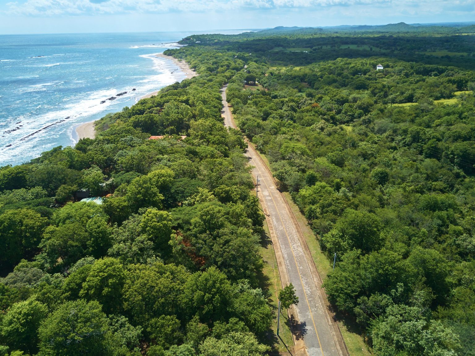 Road running beside a forested coastline