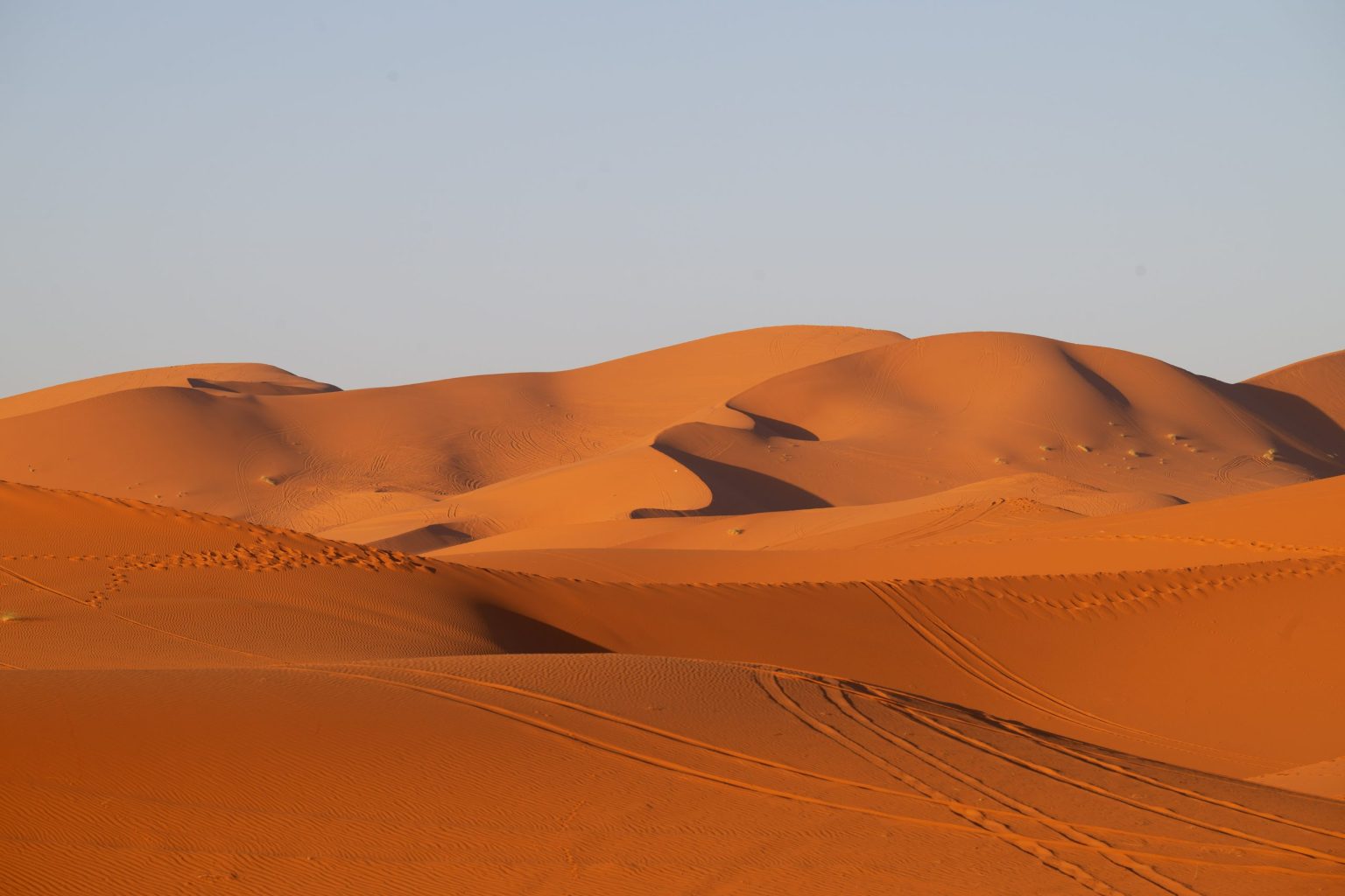 Rolling orange dunes of the Sahara under a clear sky