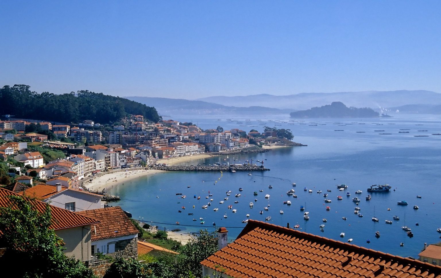 Pontevedra Estuary, Rias Bajas, Galicia