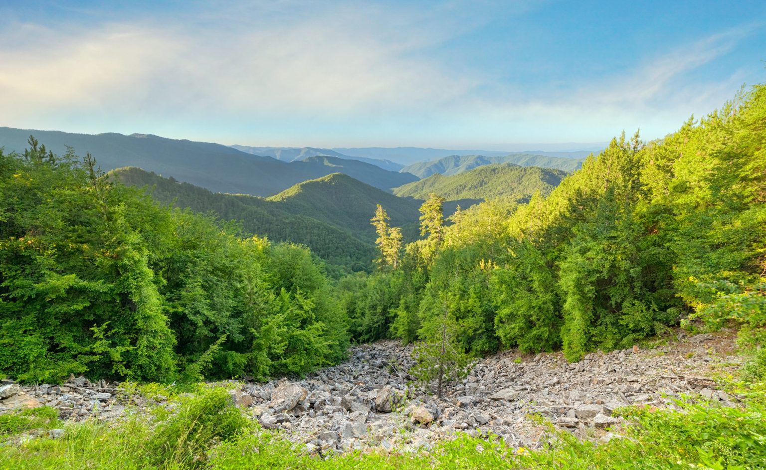 Green beech forest and mountain valleys in Bulgaria
