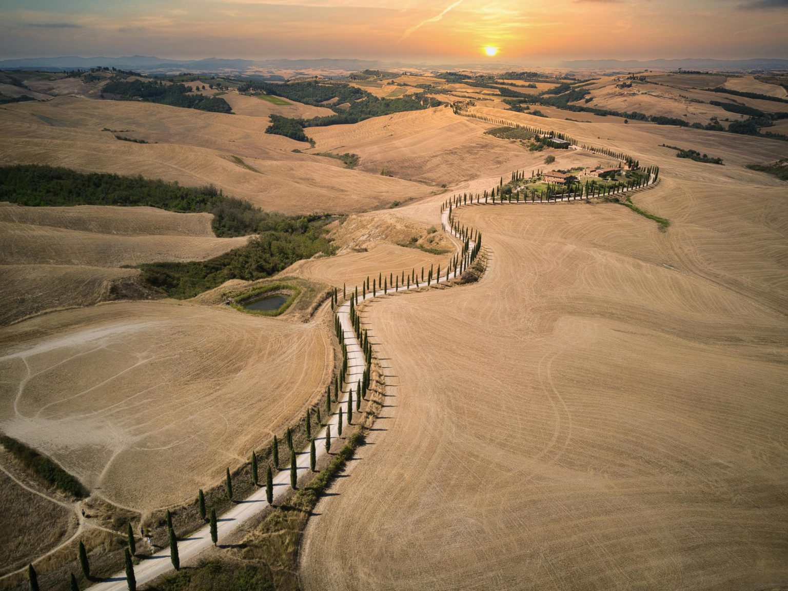 A cypress-lined road winding through the Tuscan hills at sunset