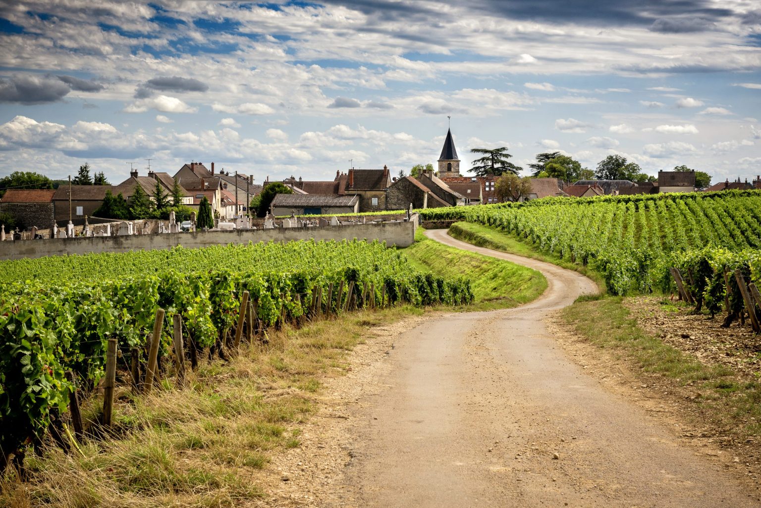 Track through Burgundy vineyards towards a village church