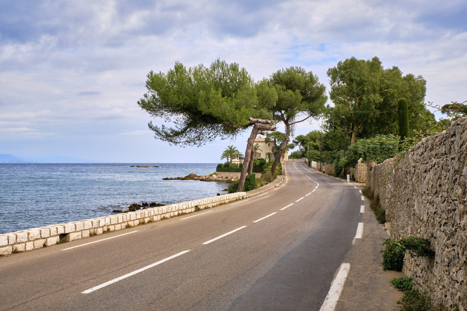 Coastal road through umbrella pines on the French Riviera