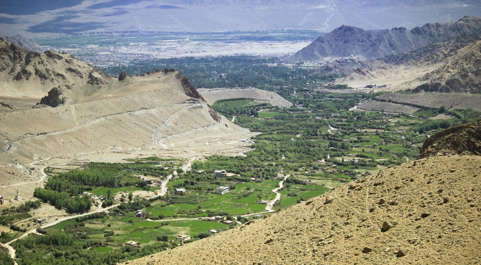 Green Indus valley around Leh, Ladakh
