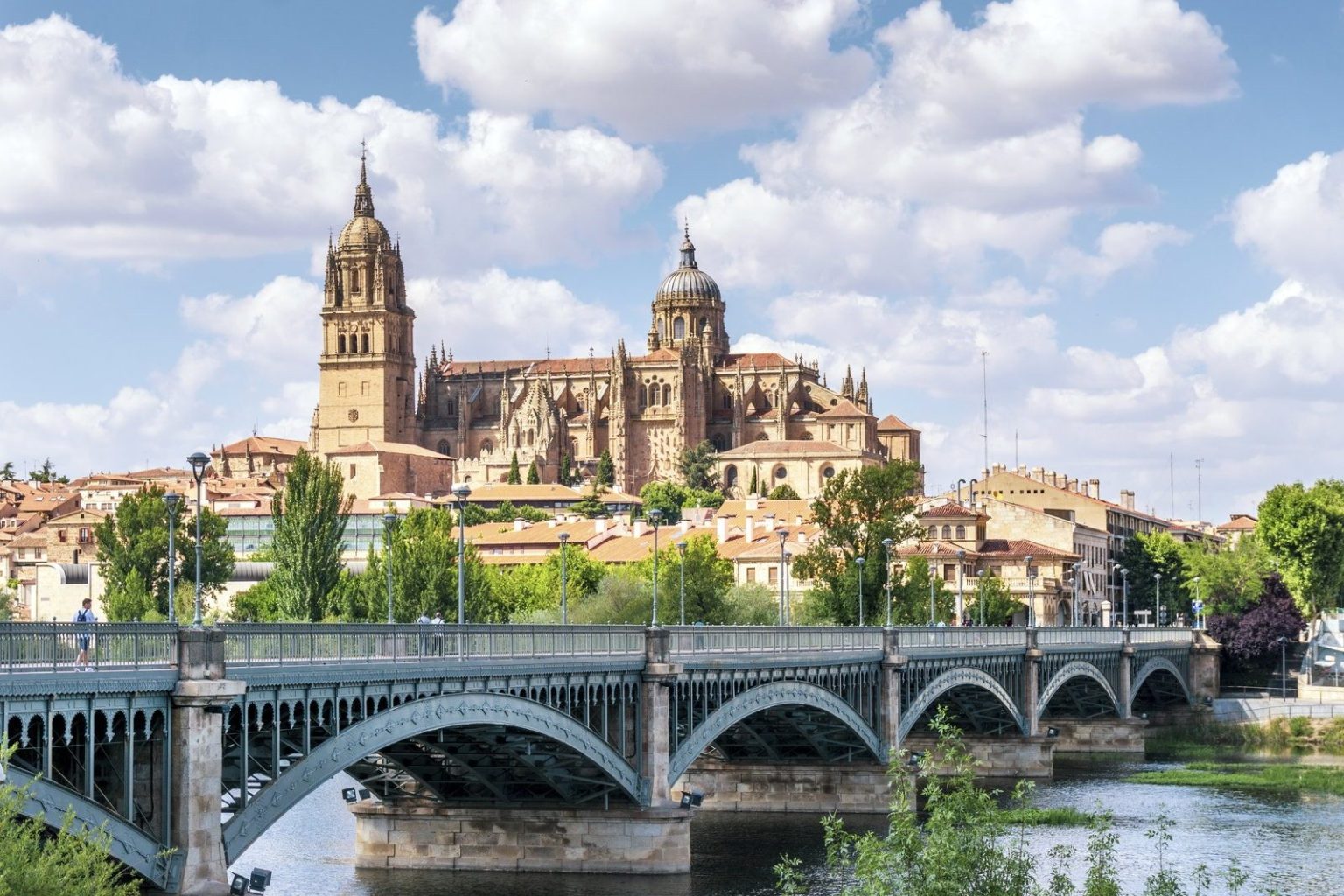 Salamanca Cathedral from the Tormes River, Castilla y Leon