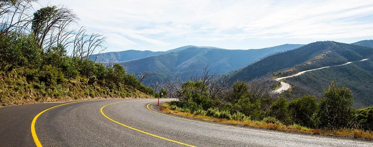 Curving road with yellow centre lines through forested mountains in the Victorian Alps
