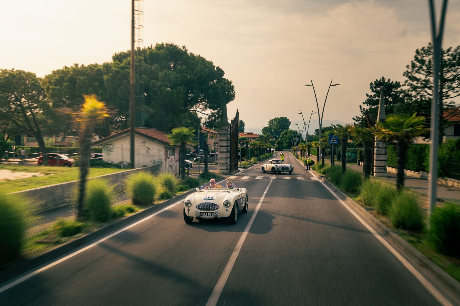 A white Austin Healey at speed on a tree-lined Italian road between control points
