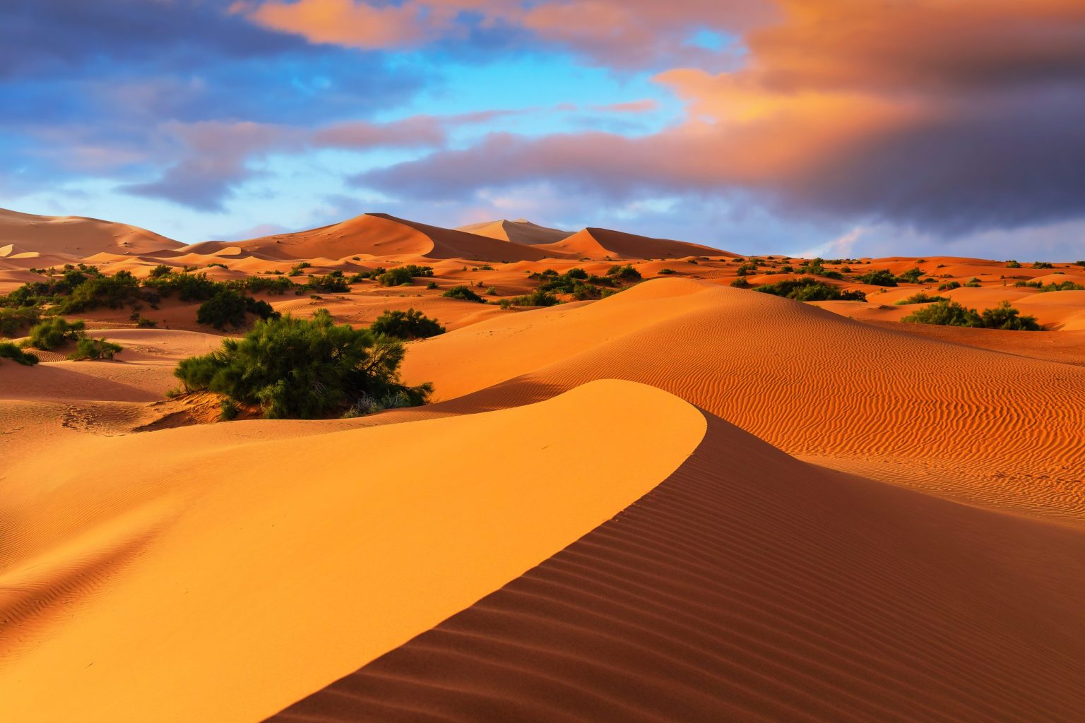 Sand dunes of Erg Chebbi near Merzouga, Morocco