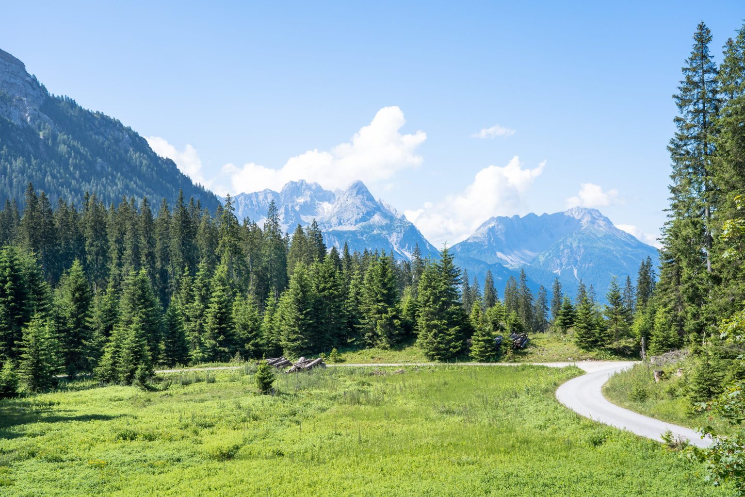 Forest road and mountain meadow in the Bavarian Alps, Germany
