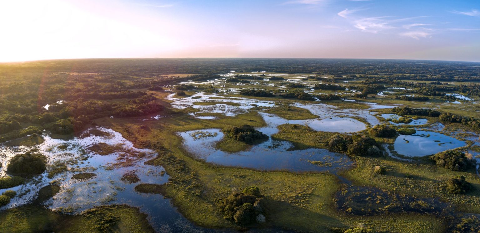 The Pantanal wetlands near Corumbá
