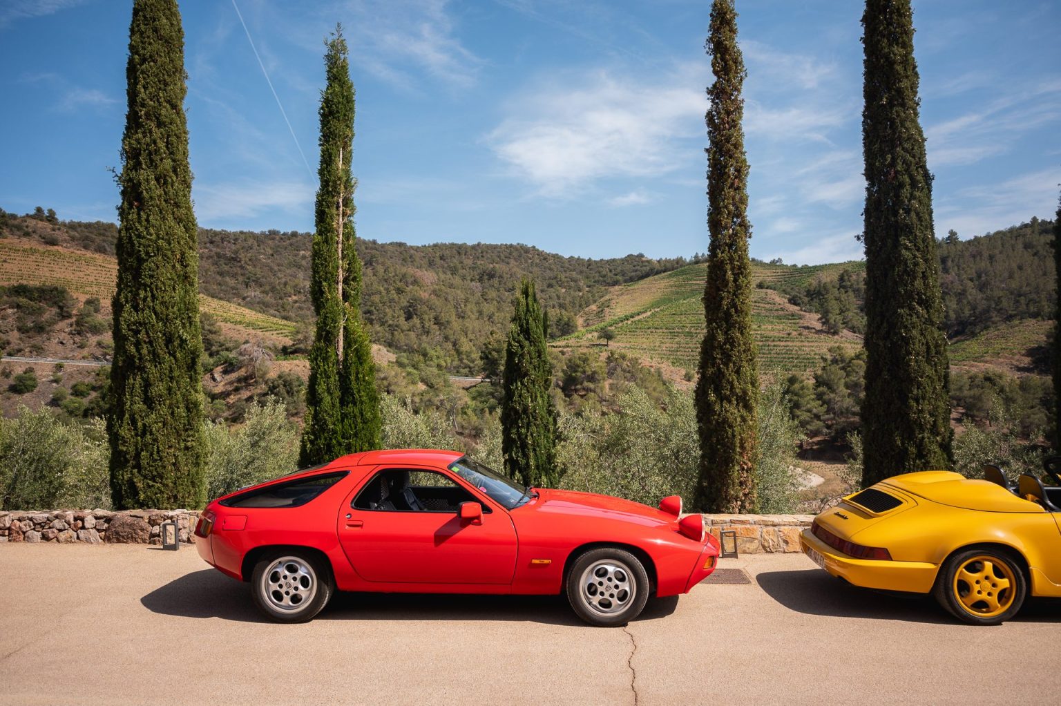 Classic Porsches lined up below a row of cypress trees in the Priorat hills, Catalonia