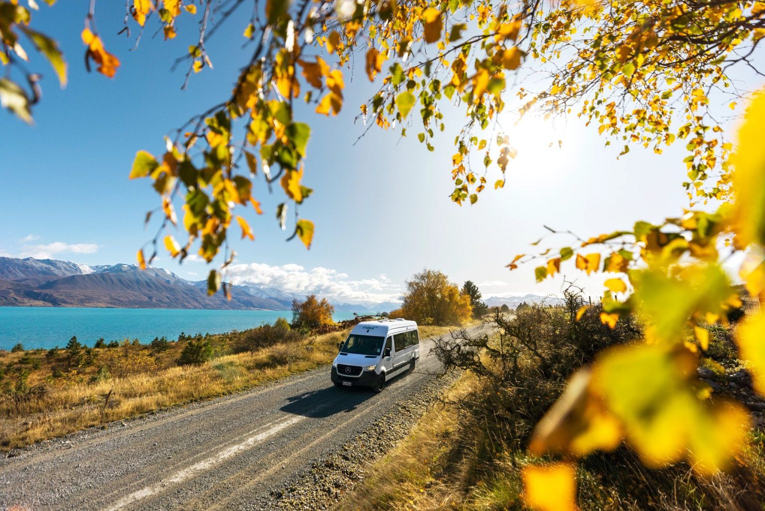 Campervan on a lakeside road framed by autumn leaves, Lake Wanaka, New Zealand's South Island