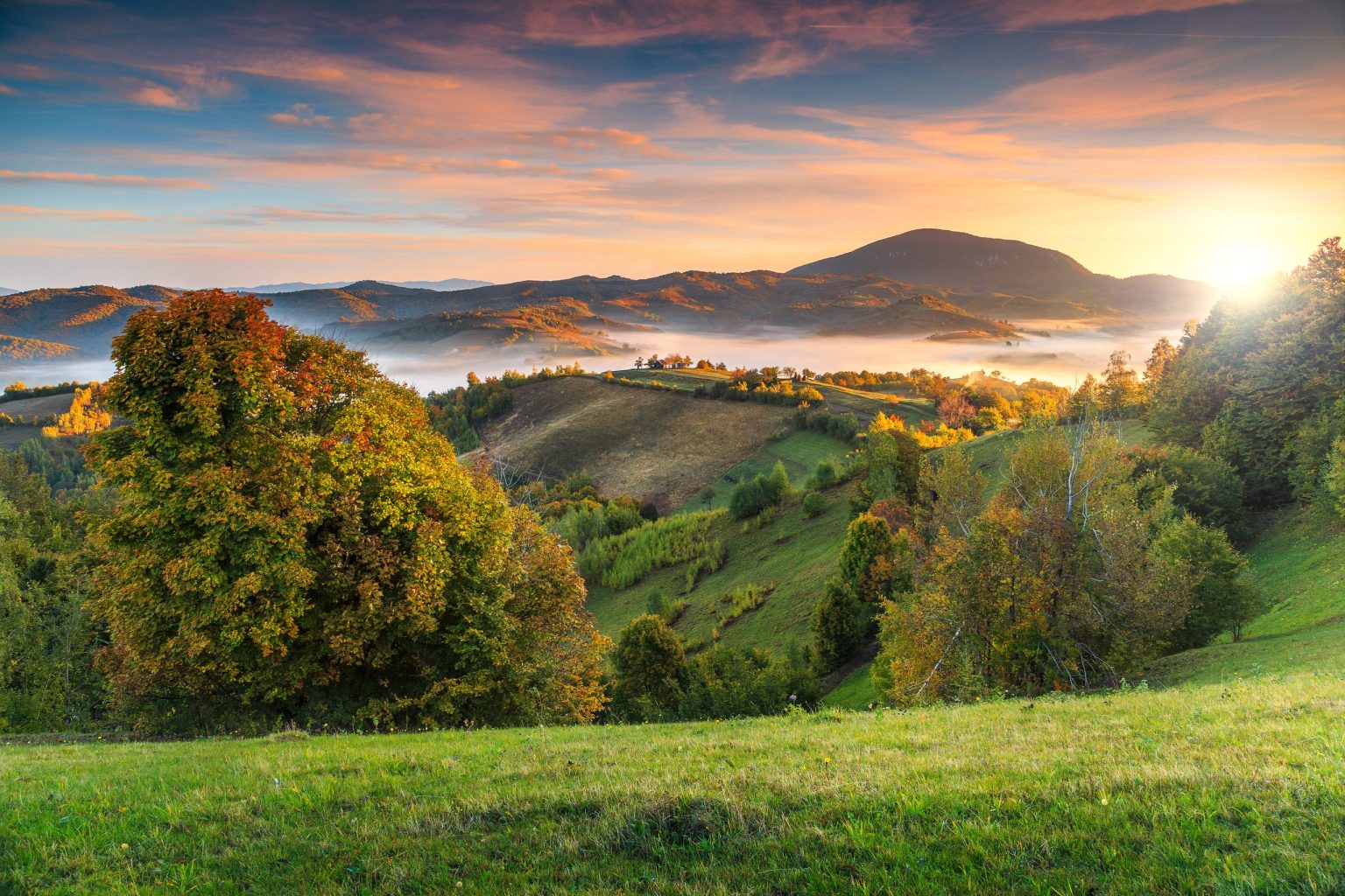 Misty rolling hills of Transylvania at sunrise