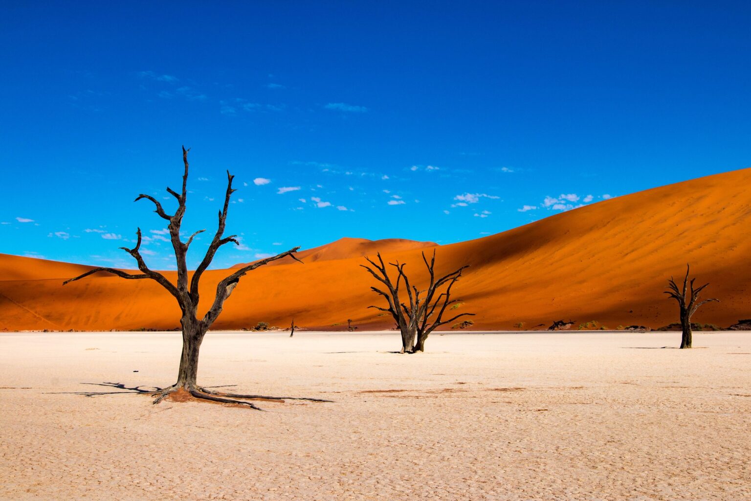 Namibia deadvlei dead trees red dunes sossusvlei