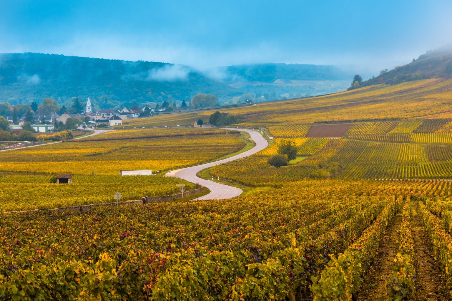 Road winding through autumn vineyards in Burgundy