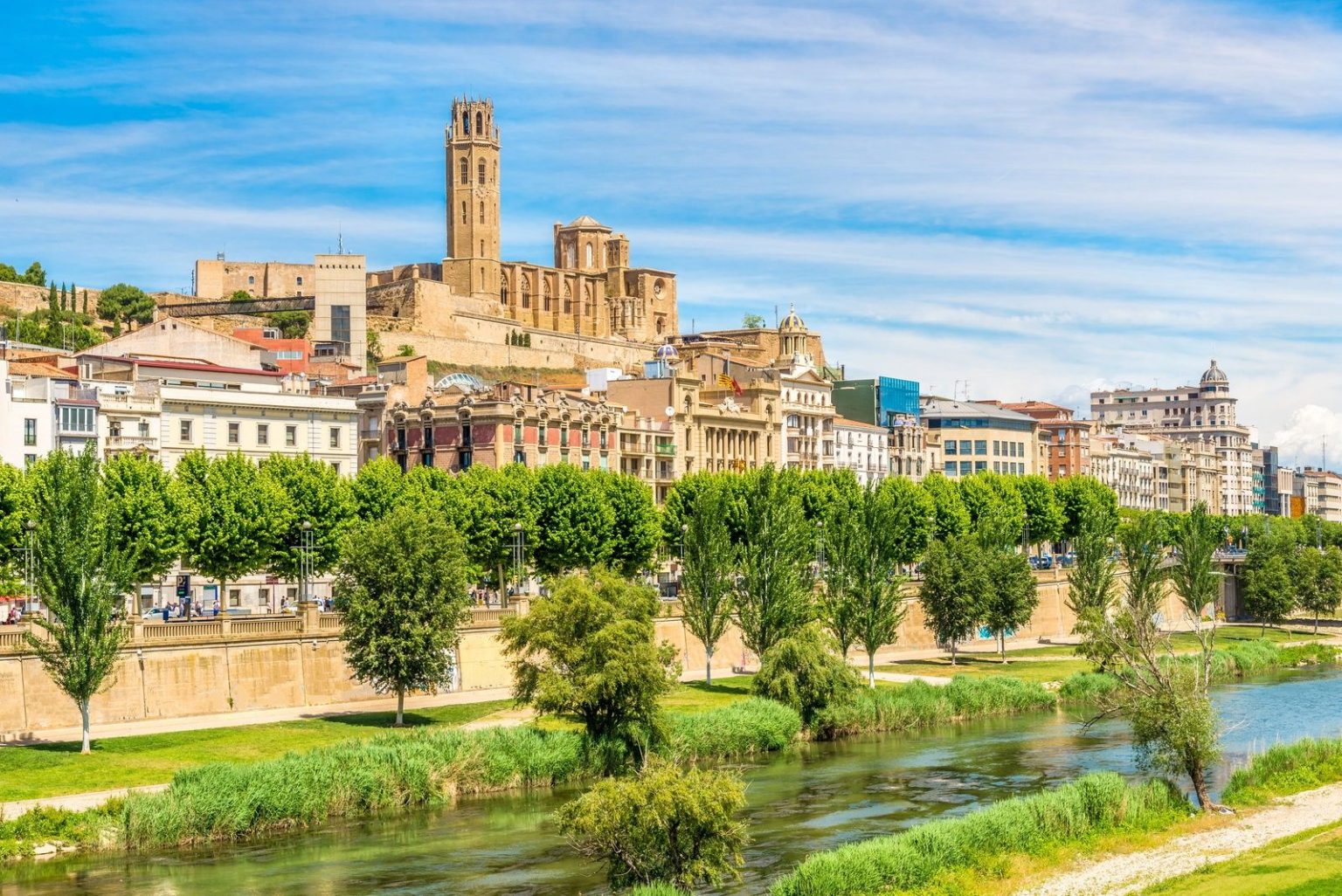 Cathedral tower above a riverside city with trees along the river bank, Catalonia