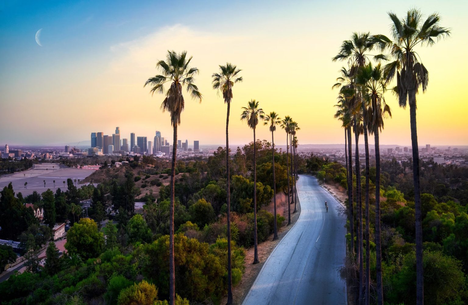Palm-lined road with the Los Angeles skyline at sunset