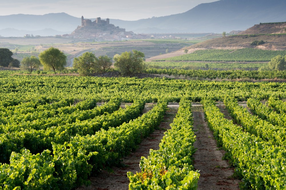 San Vicente de la Sonsierra, La Rioja
